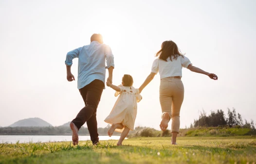 The Science of Connection: Understanding the IVF and Embryo Transfer Process